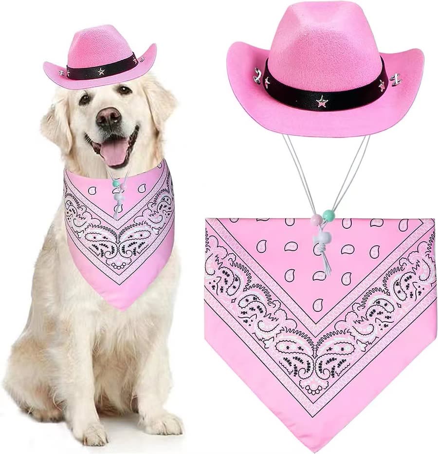 Roze cowgirlhoed met bandana