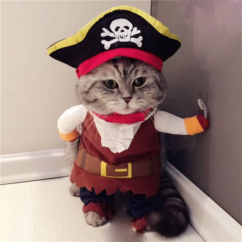 Piratenkostuum
