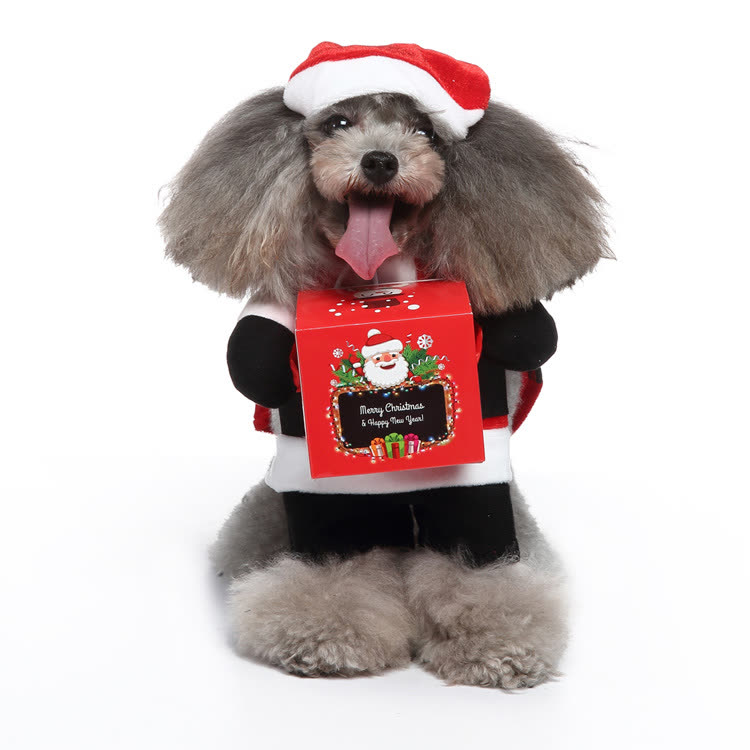 Kerstmanpak